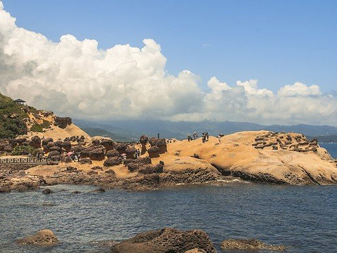 2021东北角海岸风景特区 旅游攻略 门票 地址 问答 游记点评 新北旅游旅游景点推荐 去哪儿攻略