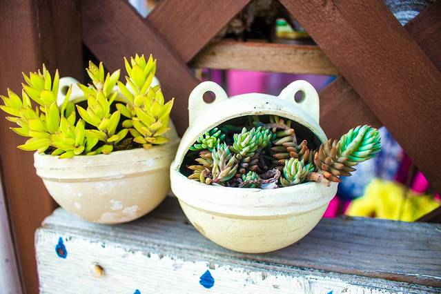 Chi Chi-pong 兔子冰淇淋