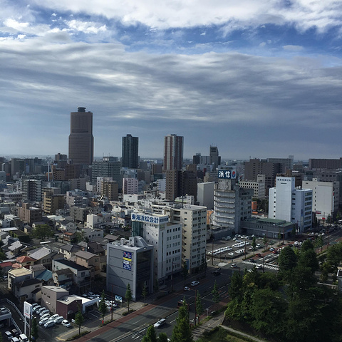 "滨松是一个很小的城市，但是绿化覆盖率极高，从酒店窗户往外看非常漂亮_滨松城"的评论图片