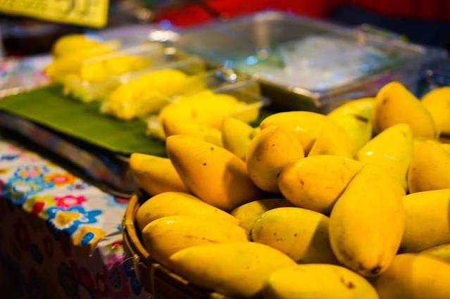 一场清迈民宿探访之旅