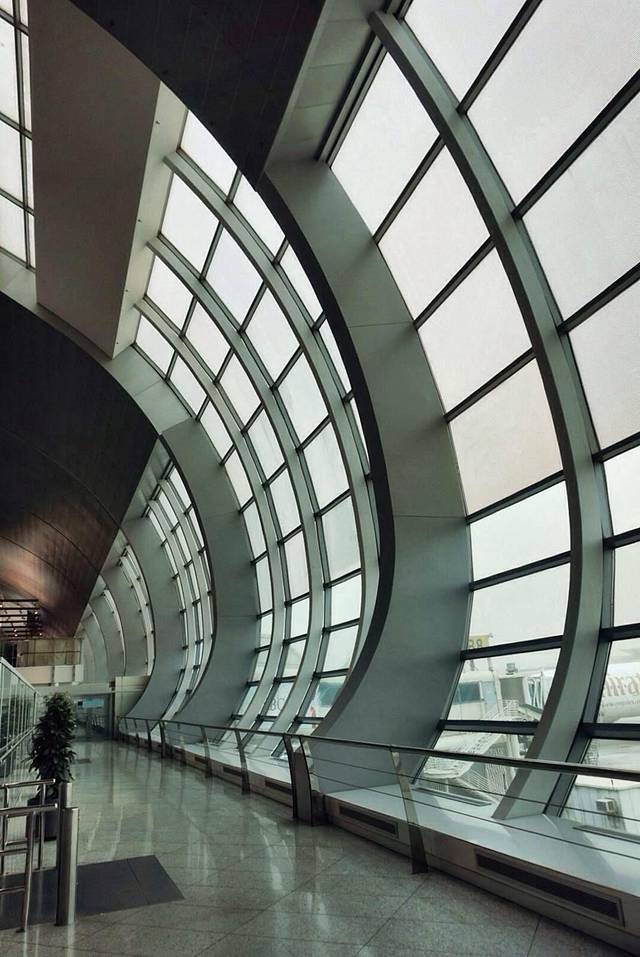 沙漠中的花朵,阿联酋7日行