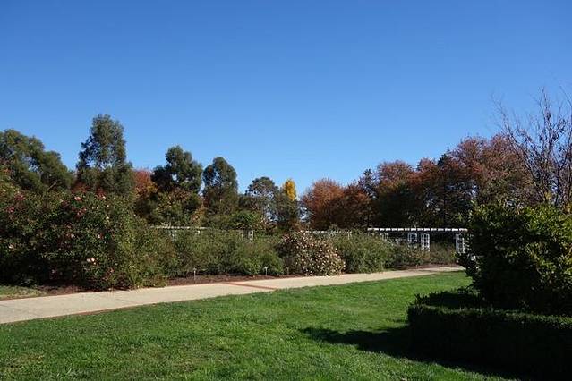 伯利·格里芬湖