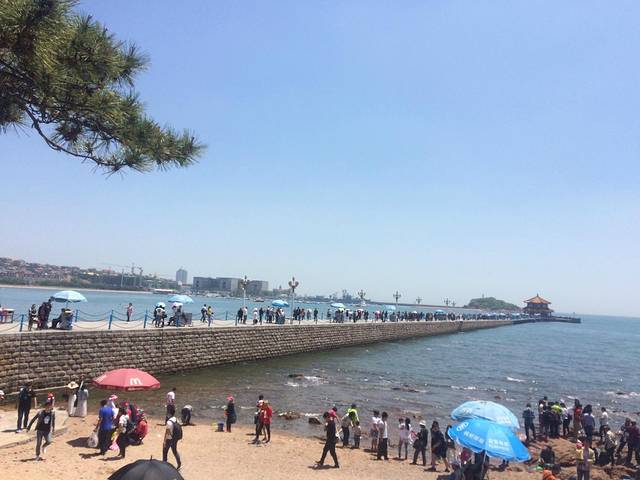 青岛5日自助游详细游玩攻略 -青岛我来了