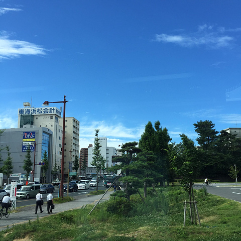 "滨松是一个很小的城市，但是绿化覆盖率极高，从酒店窗户往外看非常漂亮_滨松城"的评论图片