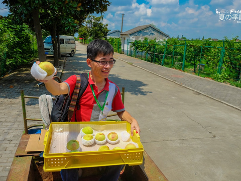 万亩桃园旅游景点图片