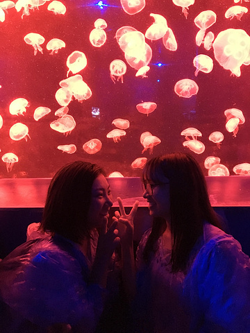 2017先在拱北商场换了澳币, 有很多家_澳门威