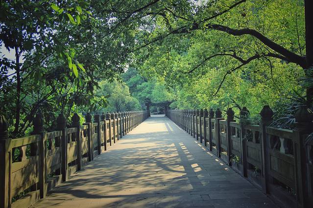 重庆南山植物园