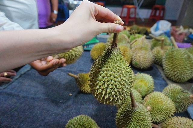 享受这迷人的马来风情