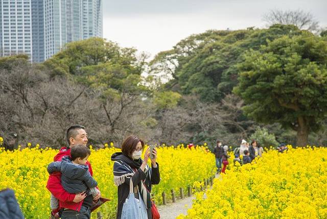 乘着豪华游轮去日本