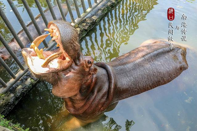 海南热带野生动植物园