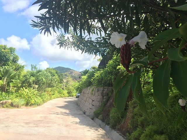 2017昨天入住时,遇到信用卡担保的问题尚未解