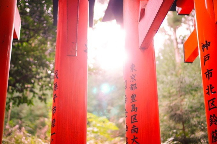 2017京都注意各个寺庙参观的时间,有些是分季