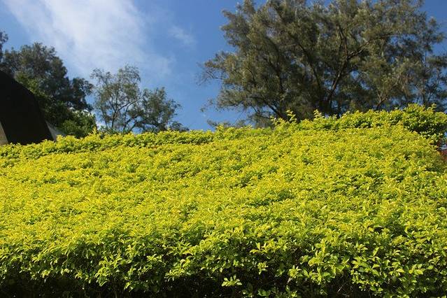 二鲲鯓炮台(亿载金城)