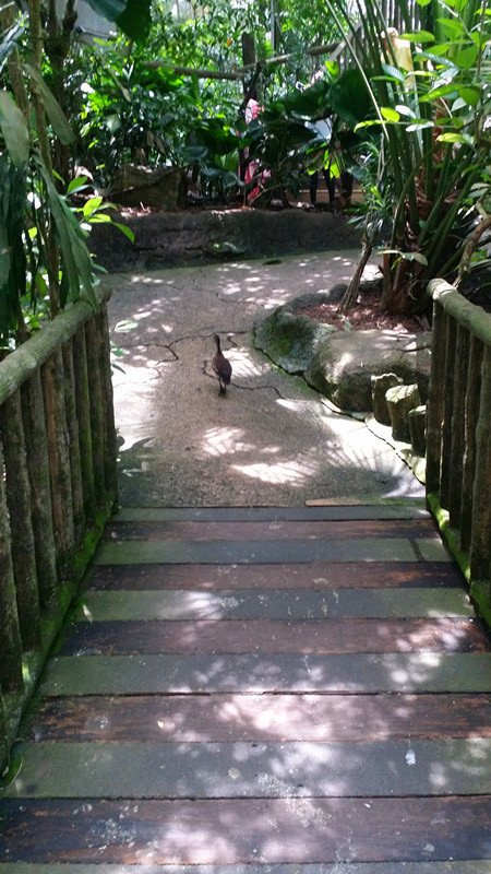 新加坡 沿着赤道的再发现