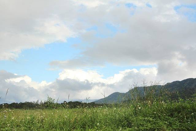 大农大富平地森林公园