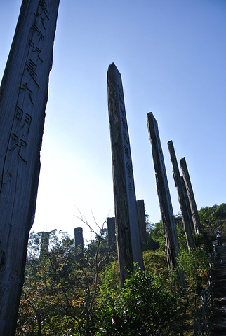 "...在宝莲禅寺的后山，顺着山路走15分钟就能看见，用巨大的树桩刻埋于地下，上面刻着佛学经典《心经》_心经简林"的评论图片