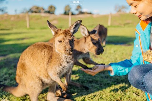 华勒比野生动物园