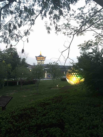 2017好玩,表演节目龙虎情好看_龙虎山评论