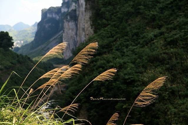 娄底大江口景区