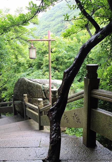 游记详情 沿香云路走,途中有香云亭,云扶石,海天佛国崖等景点,四周