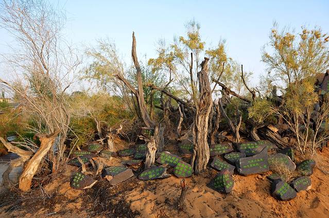 阿拉善沙漠世界地质公园