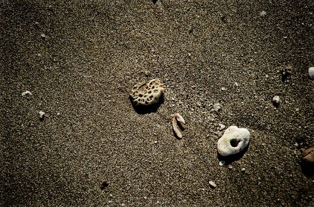 浅水湾海滨公园