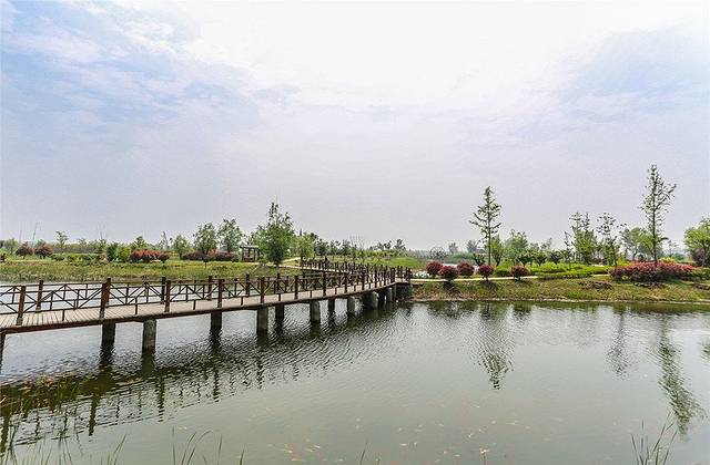 泗洪洪泽湖湿地景区