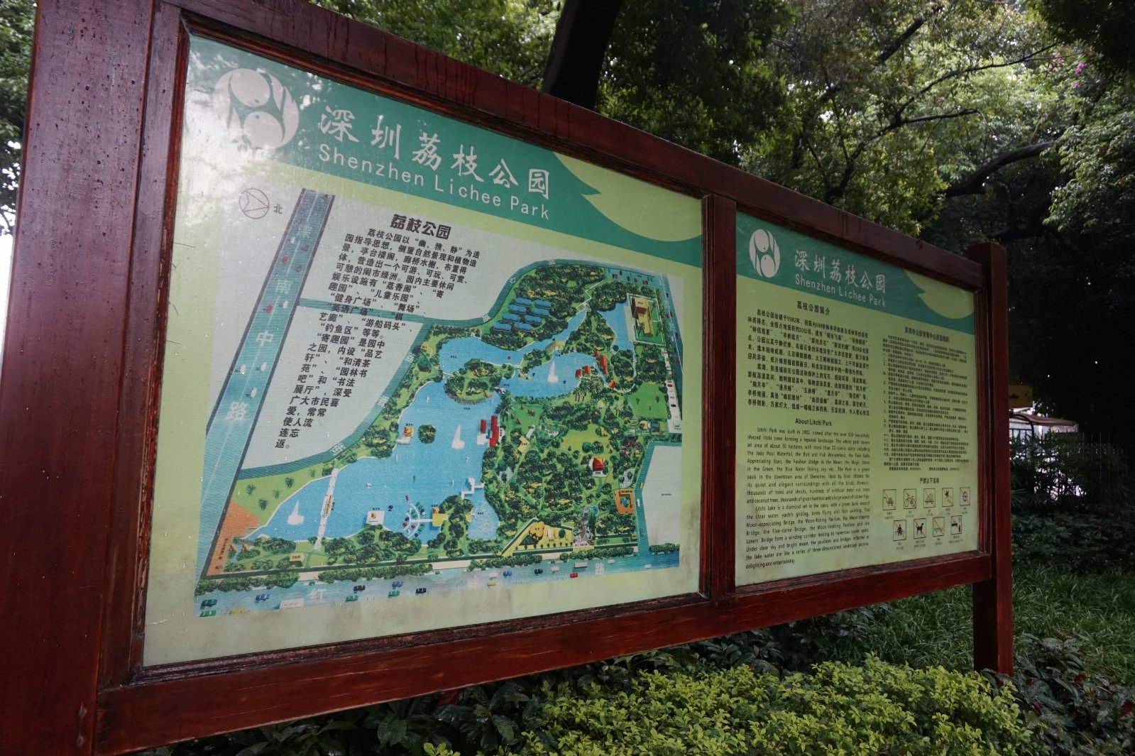 2020荔枝公园游玩攻略,在公园的湖边欣赏深圳的高楼.【去哪儿攻略】
