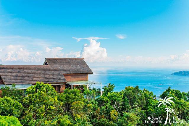 亚龙湾热带天堂森林公园