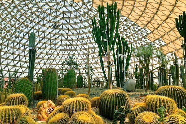 大阳山国家森林公园