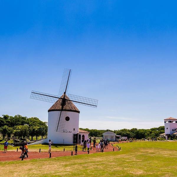 ecoland生态主题公园,也叫森林小火车乐园,是目前济州岛唯一一个以