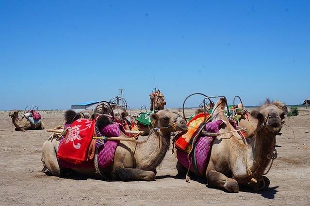 达瓦昆沙漠旅游风景区
