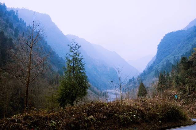 黑水河省级自然保护区