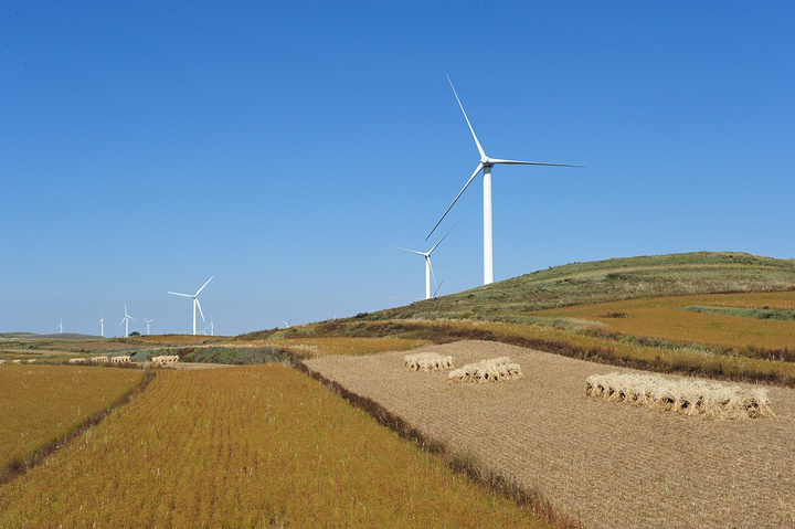 草原天路两边风光现在立了门楼建了设施准备开始收门票了路边树林里