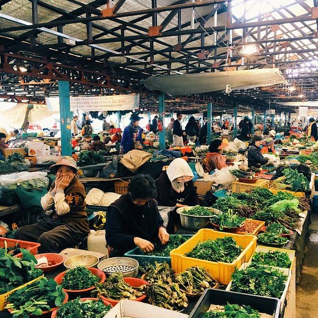 济州民俗五日市场 