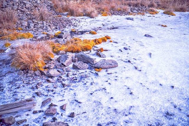 【心 · 旅生活】寻一场大兴安岭的魂。