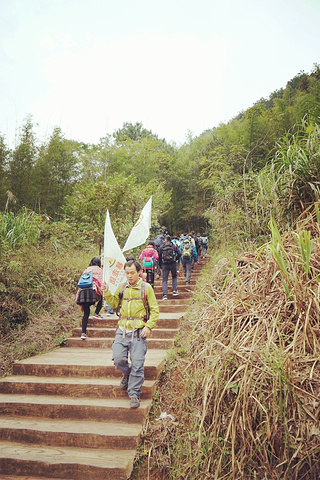 "主要是砾岩和砂岩)。受垂直或高角度解理切割，并在差异风化、重力崩塌、流水溶蚀、风力侵蚀等综合作..._巴寨"的评论图片