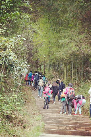 "主要是砾岩和砂岩)。受垂直或高角度解理切割，并在差异风化、重力崩塌、流水溶蚀、风力侵蚀等综合作..._巴寨"的评论图片