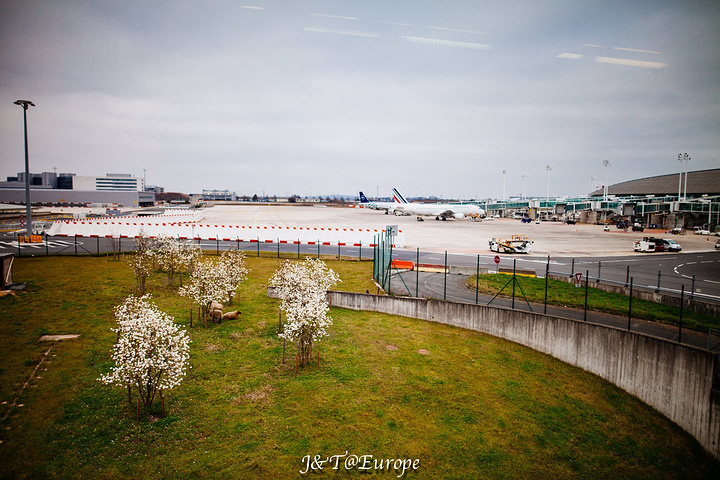 2017壮哉我大中国,在巴黎机场看到习大大如此