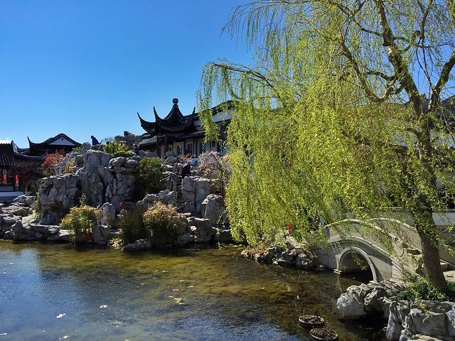 但尼丁中国花园
