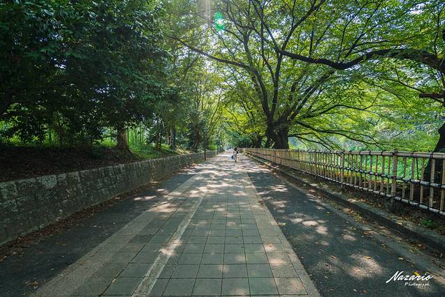 粉红猪小妹和超人爸比の快乐假期!