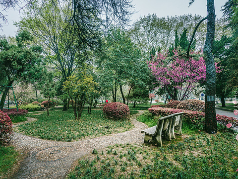东南大学旅游景点图片