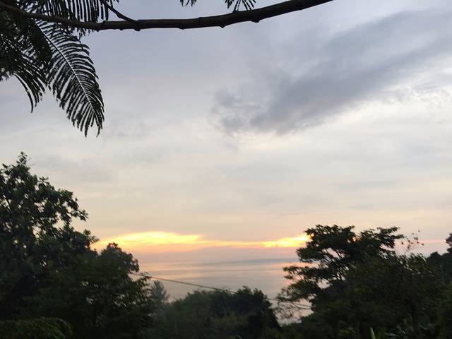 卡塔海景骑大象