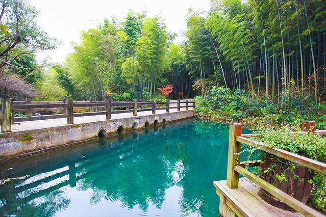 天目湖南山竹海景区