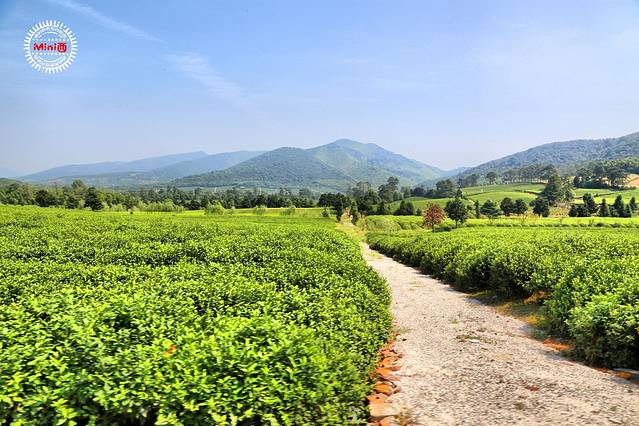 龙池山自行车公园