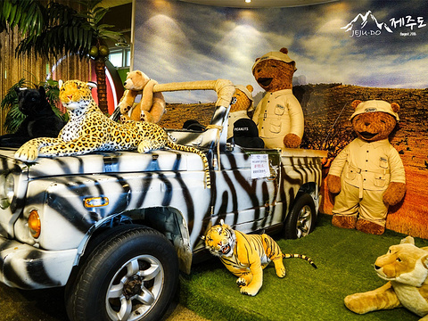 泰迪熊野生动物国旅游景点图片