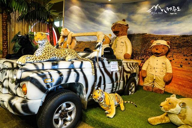 泰迪熊野生动物国