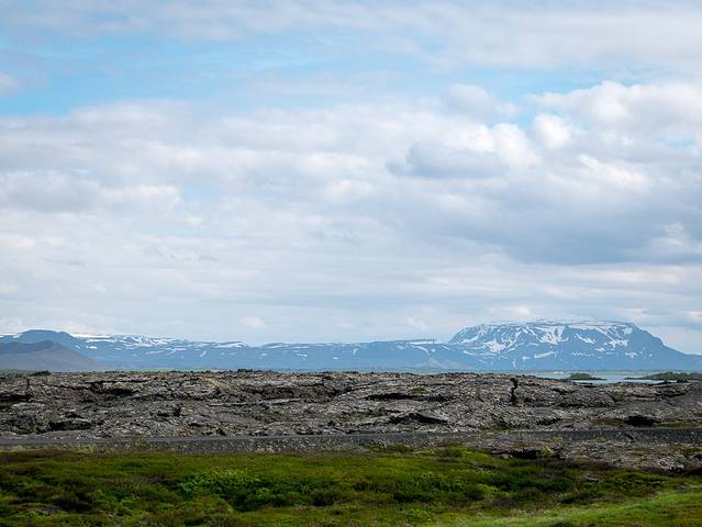 Fuglasafn Sigurgeirs