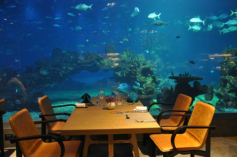 天房洲际度假酒店海洋餐厅旅游景点攻略图