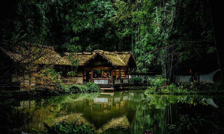 浓郁的巴蜀气息扑面而来,竹林,小路,历史的遗存处处让你醉心于此,美的